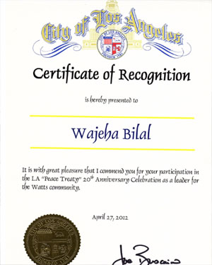 build plus certificate of recognition for the peace treaty celebration leader of watts community